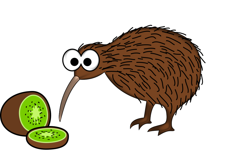 kiwi clipart kind fruit