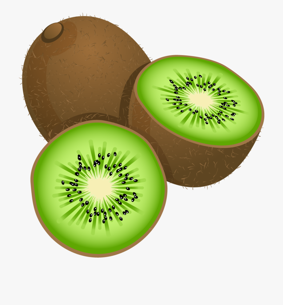 kiwi clipart kind fruit