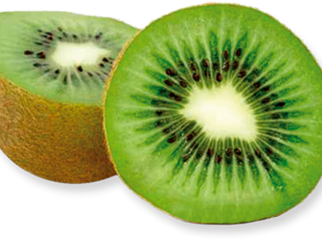 kiwi clipart large