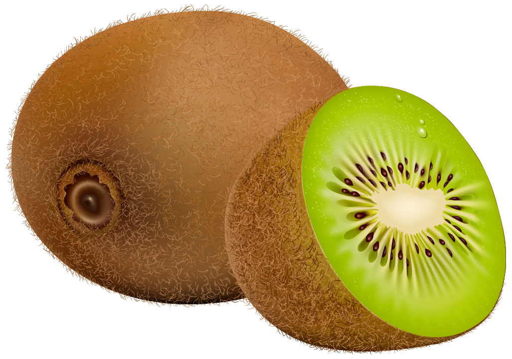 Kiwi clipart painted, Kiwi painted Transparent FREE for download on