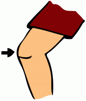 legs clipart knee