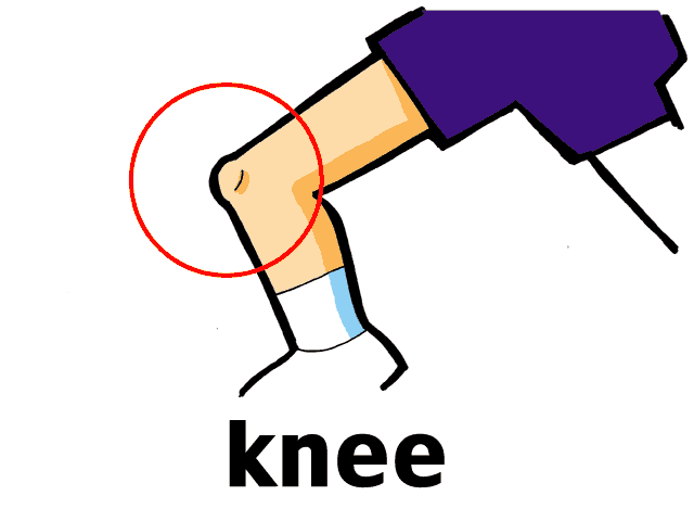 knee clipart cartoon