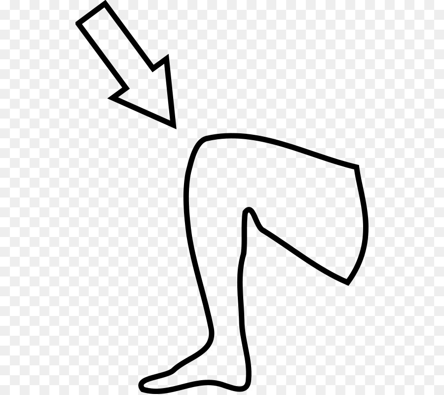Line png download free. Knee clipart clip art