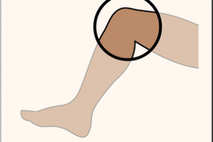 Lovely library . Knee clipart clip art