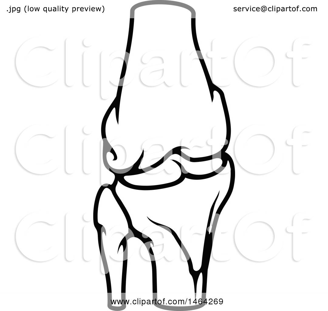 knee clipart two