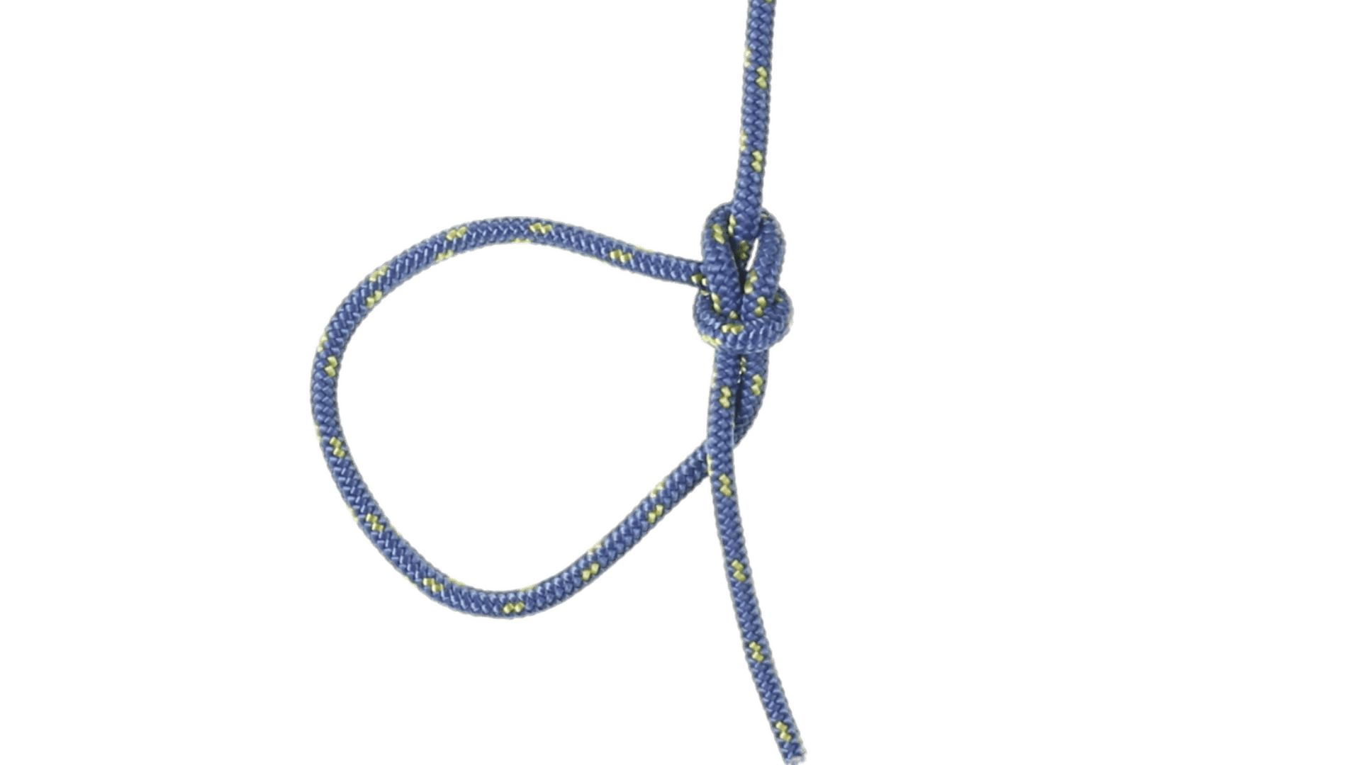 knot clipart bowline knot