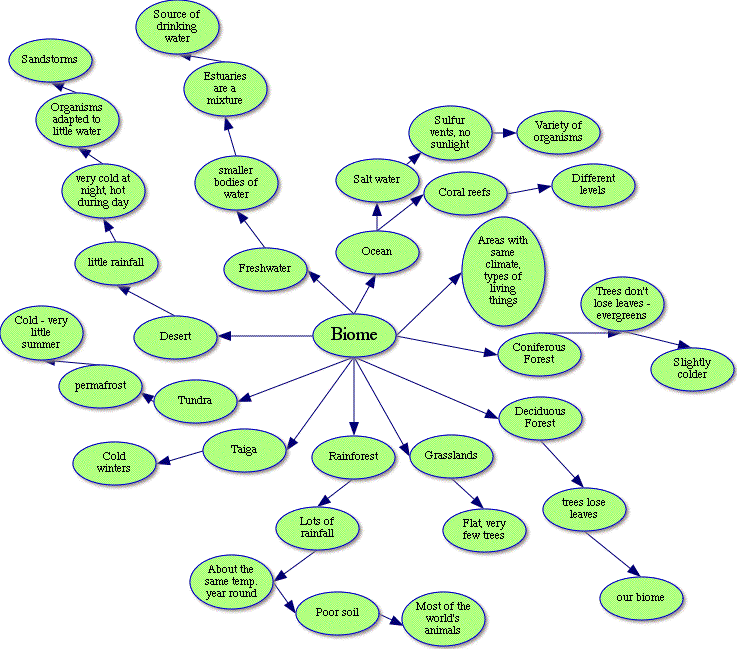 knowledge clipart concept map