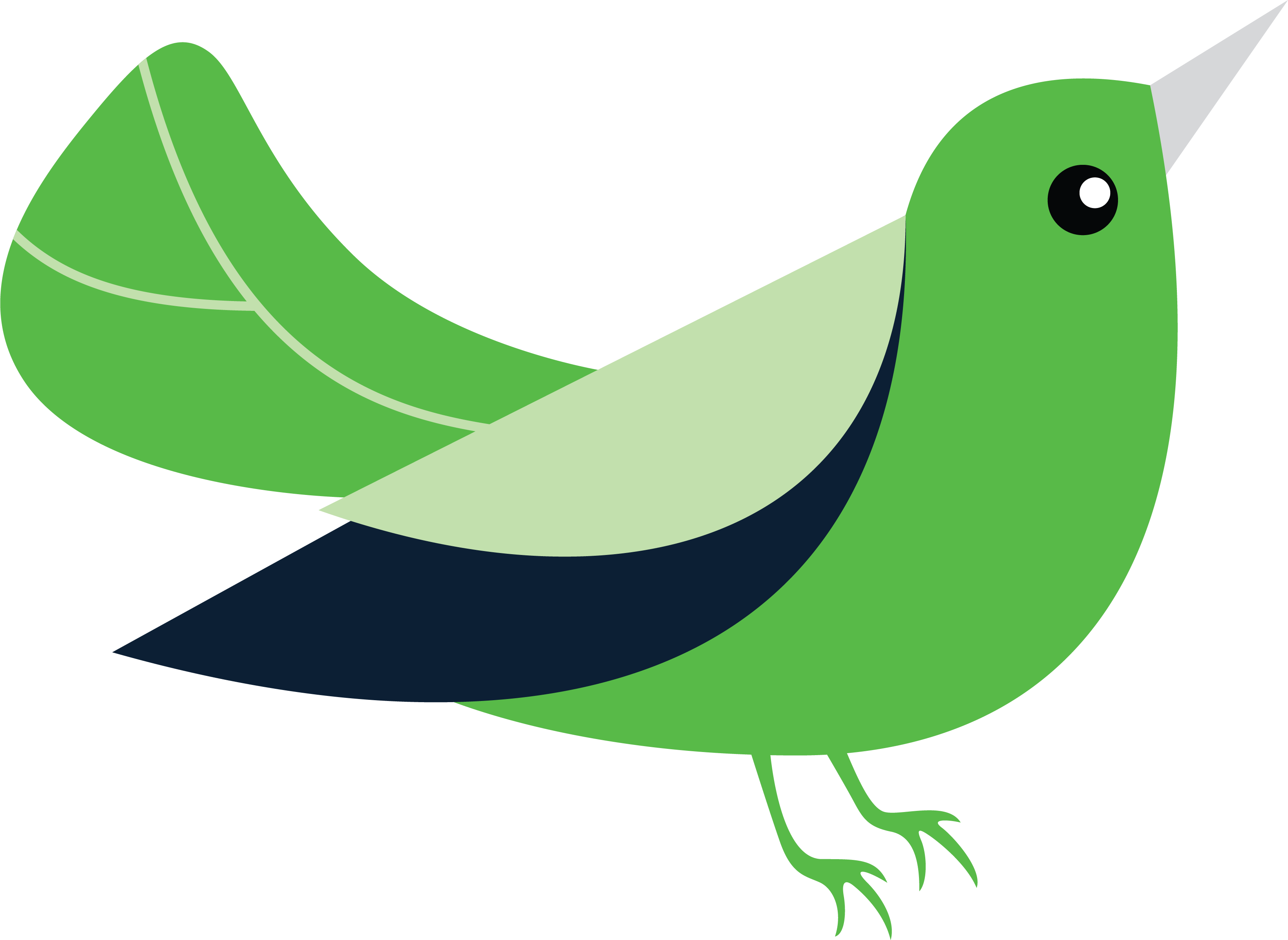 Канал птичка. Зеленая птичка на белом фоне. Птички зеленая для детей цветные на прозрачном фоне. Зеленая птичка клипарт на прозрачном фоне. Приложение птичка на зеленом фоне.
