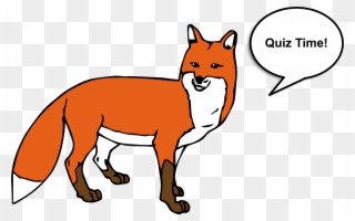 Test your fox from. Knowledge clipart man