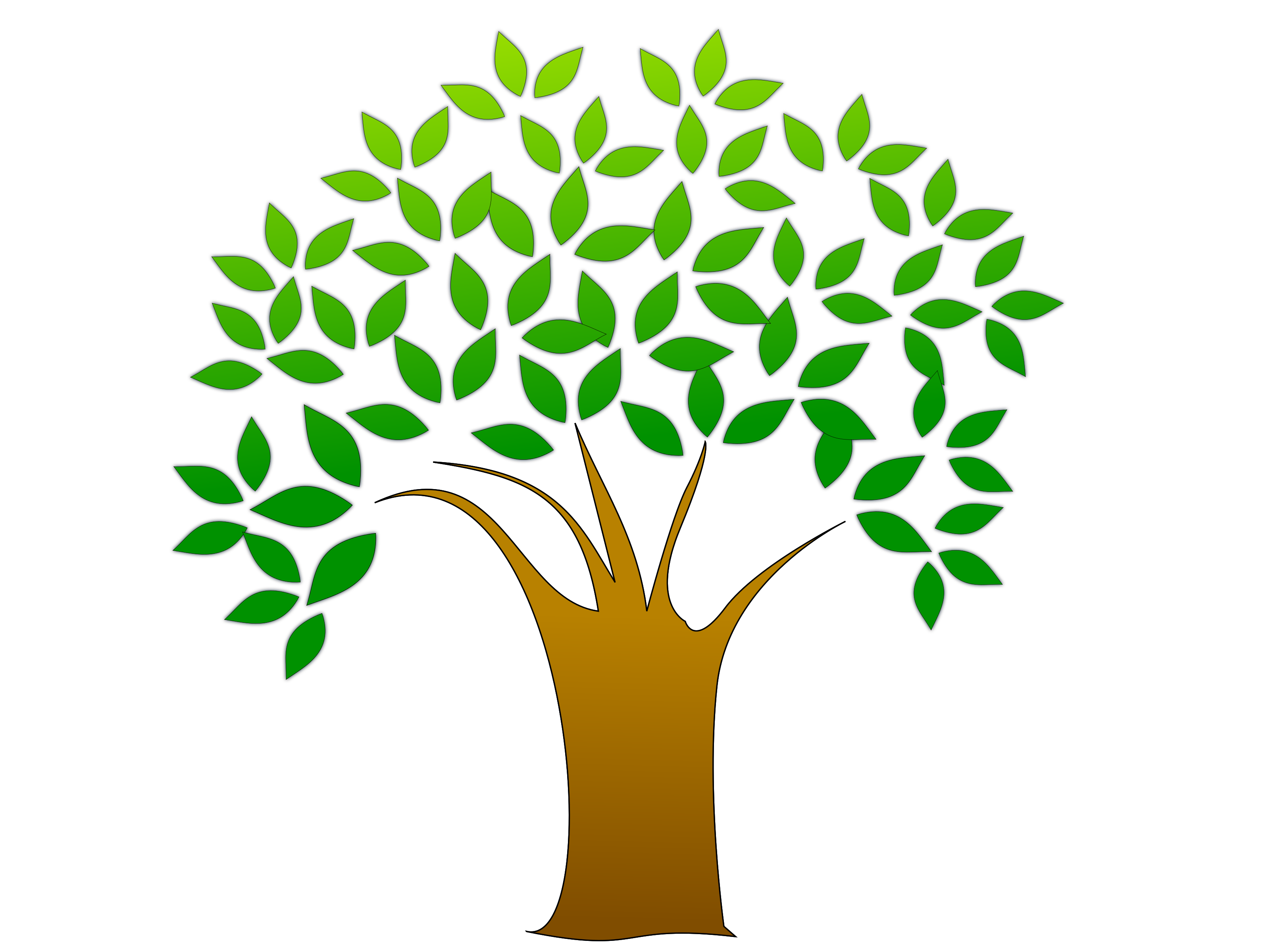 knowledge clipart tree knowledge