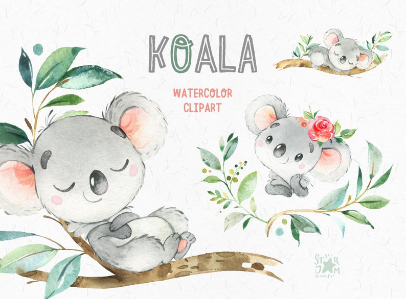 koala clipart animal native australian
