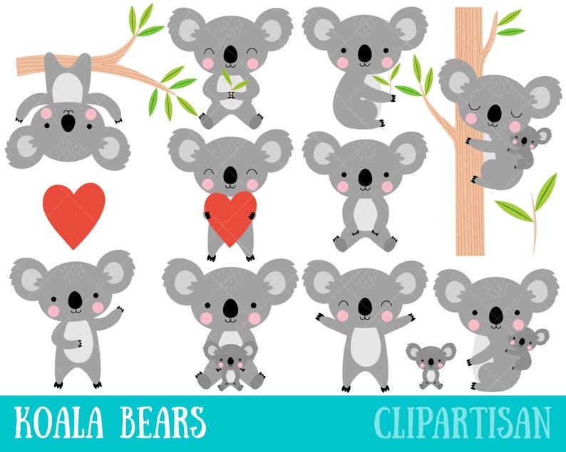 Koala clipart cute koala. Koalas clip art bears
