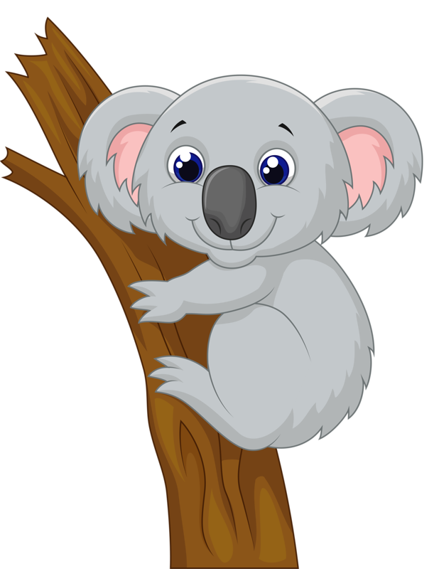 koala clipart discussion