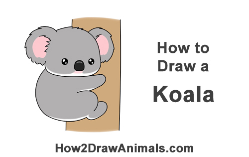 koala clipart easy draw