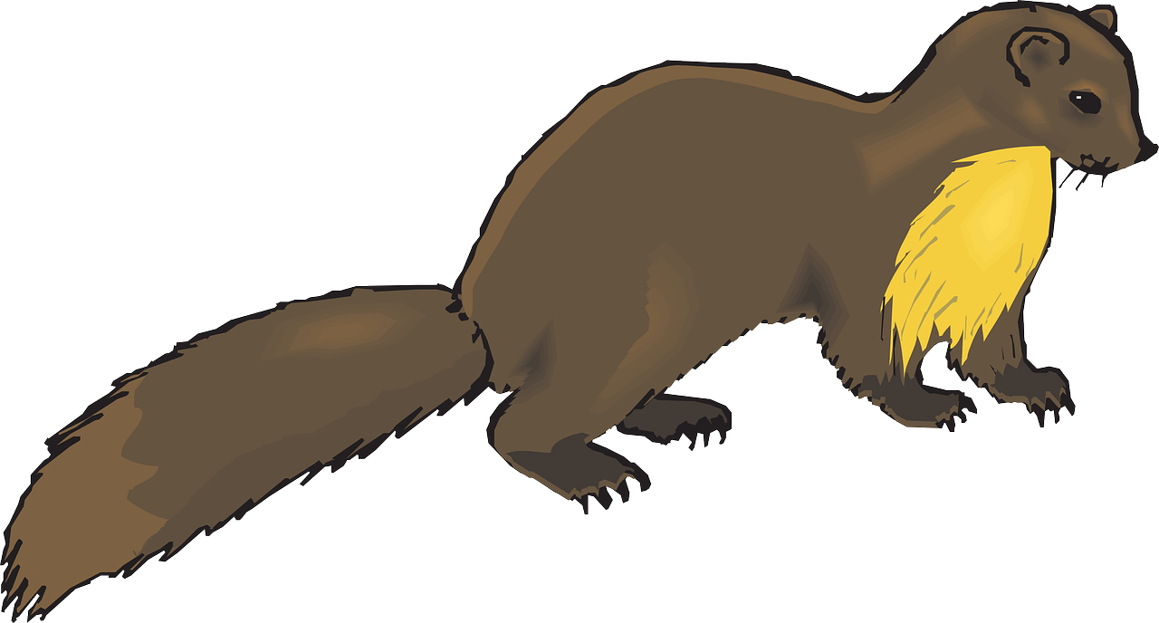 otter clipart mongoose