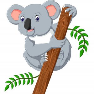 koala clipart kid