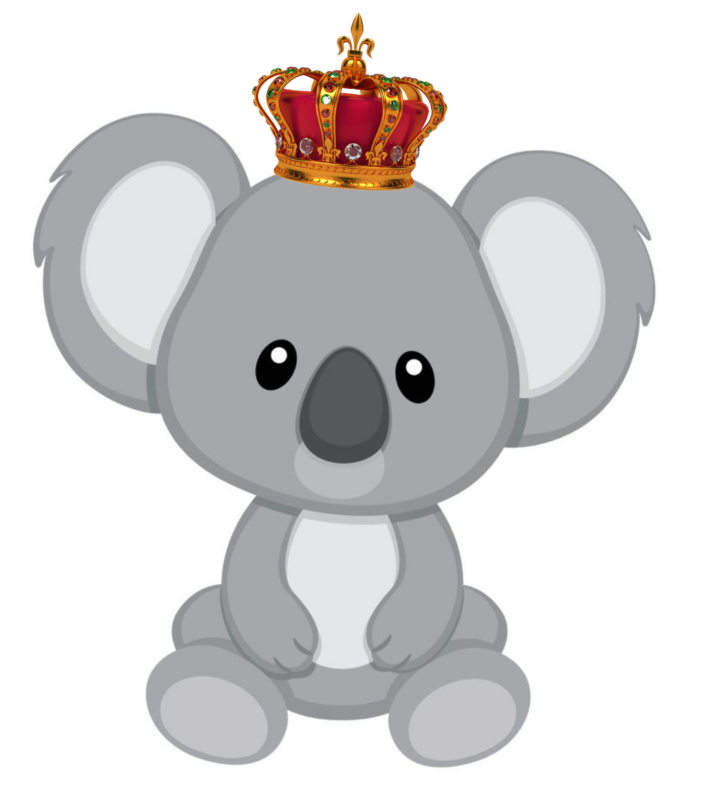 Koala clipart koala family. King bear prince 