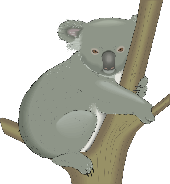 Koala clipart koala family. In tree clip art