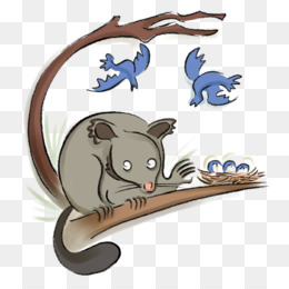 Clip art illustration cartoon. Koala clipart possum