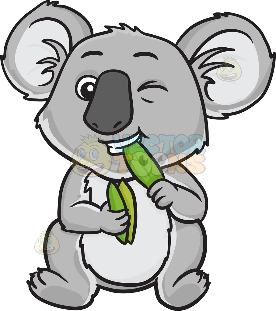 Koala clipart possum. Free download best on