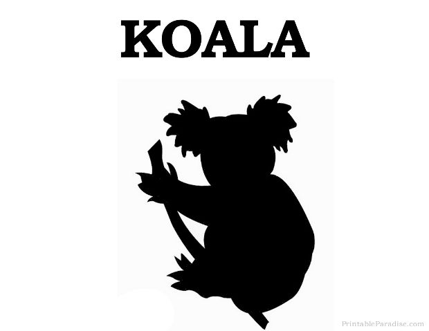 Koala clipart silhouette. Printable print free bear