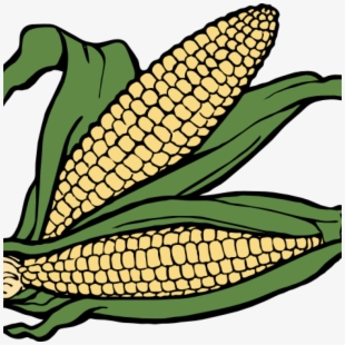 kwanzaa clipart corn