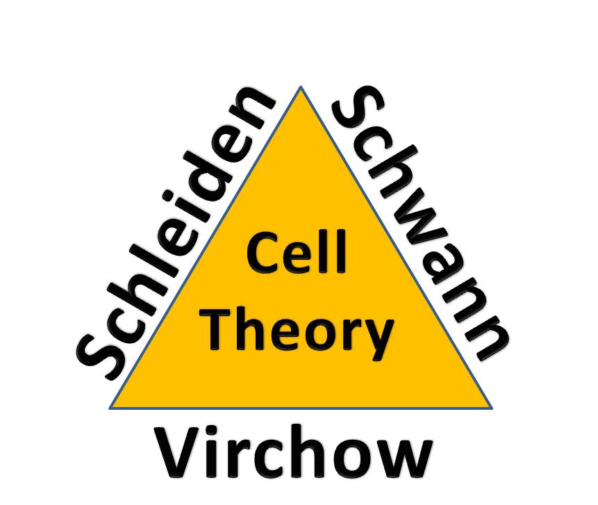 lab clipart cell theory