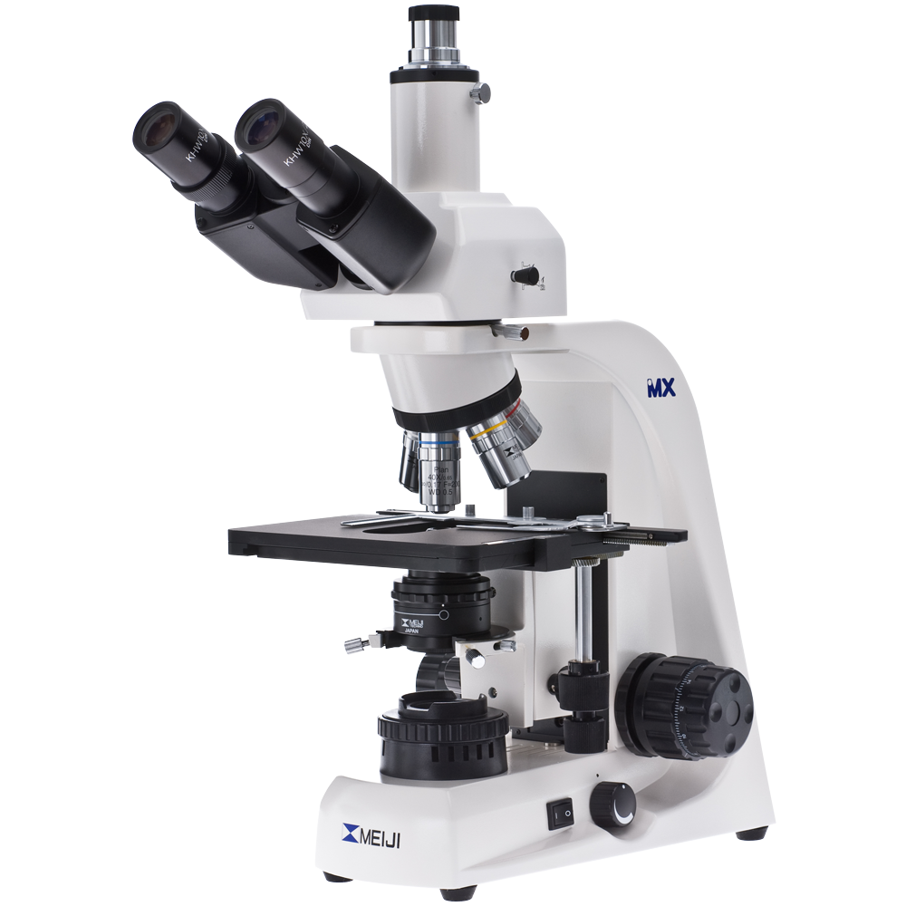 microscope clipart bio lab