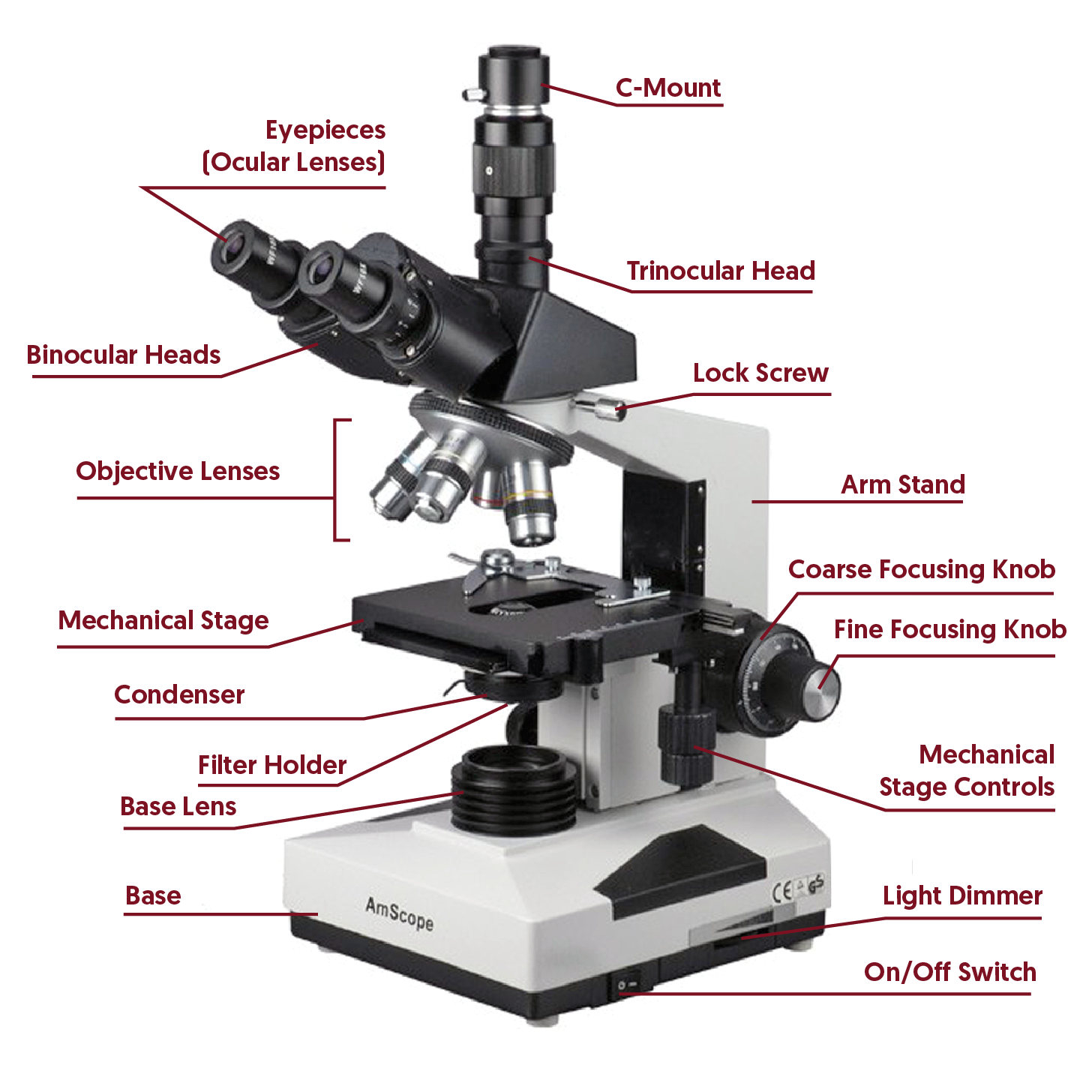 lab clipart microscope lab