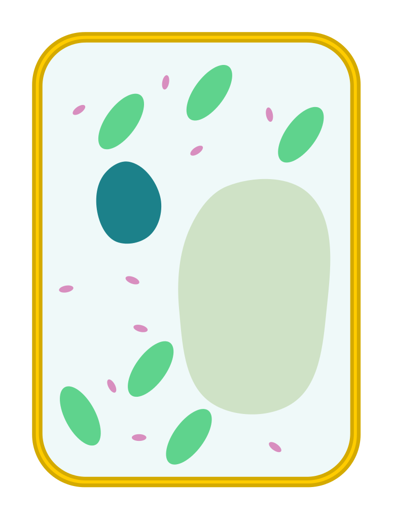 label clipart plant cell