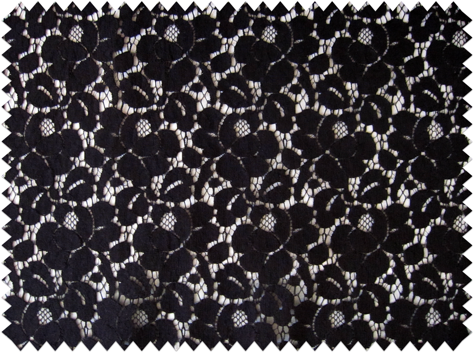 lace clipart lace fabric
