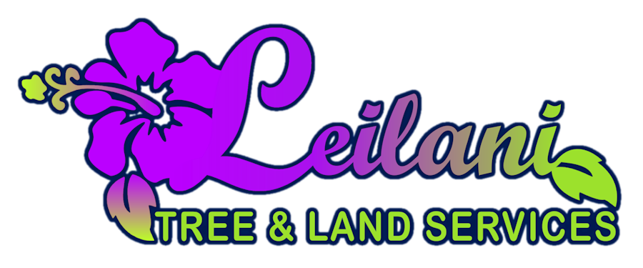 Leilani tree services free. Land clipart shoreline