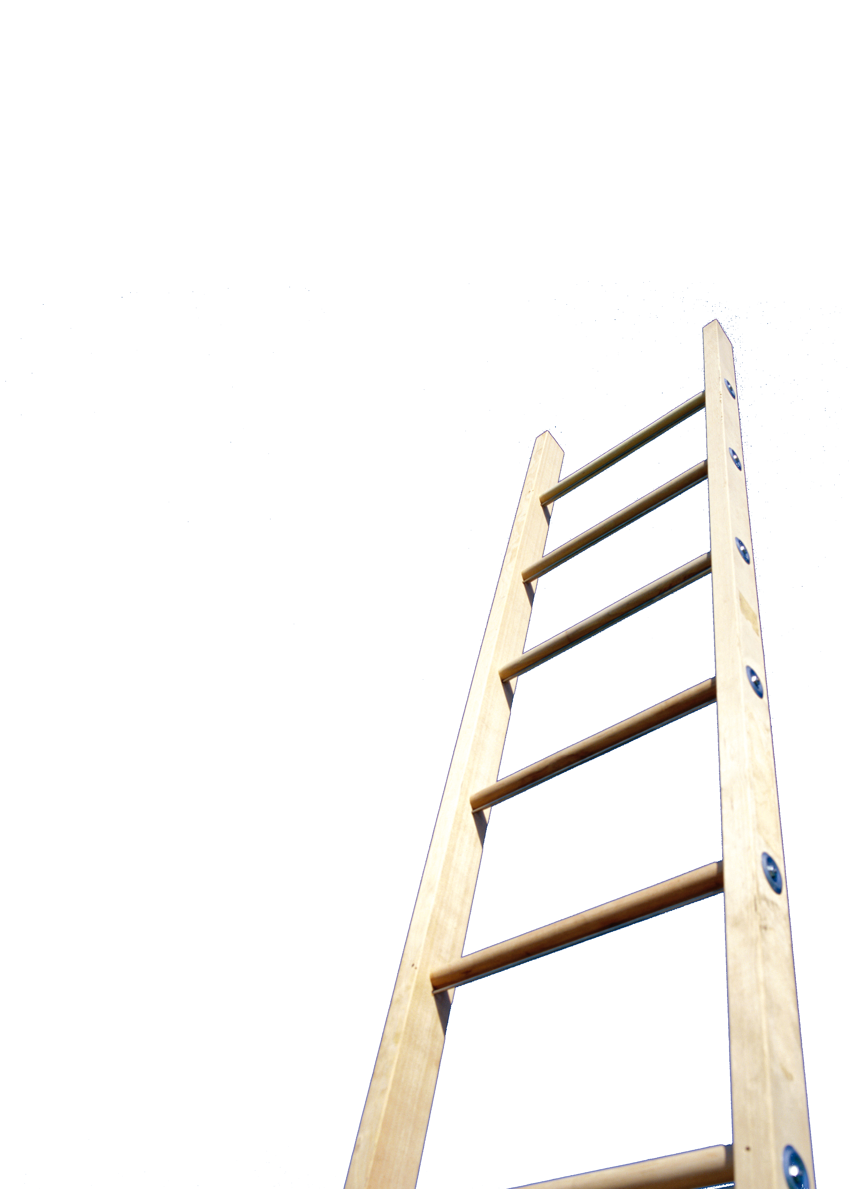 ladder clipart orange
