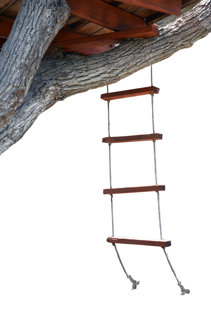 Rope stock photo png. Ladder clipart tree house