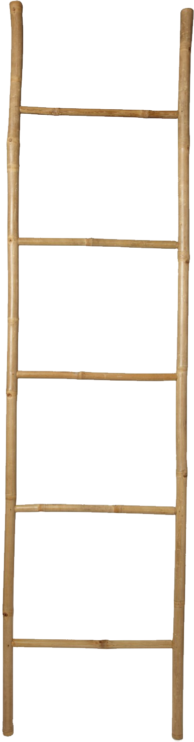 Ladder wooden ladder