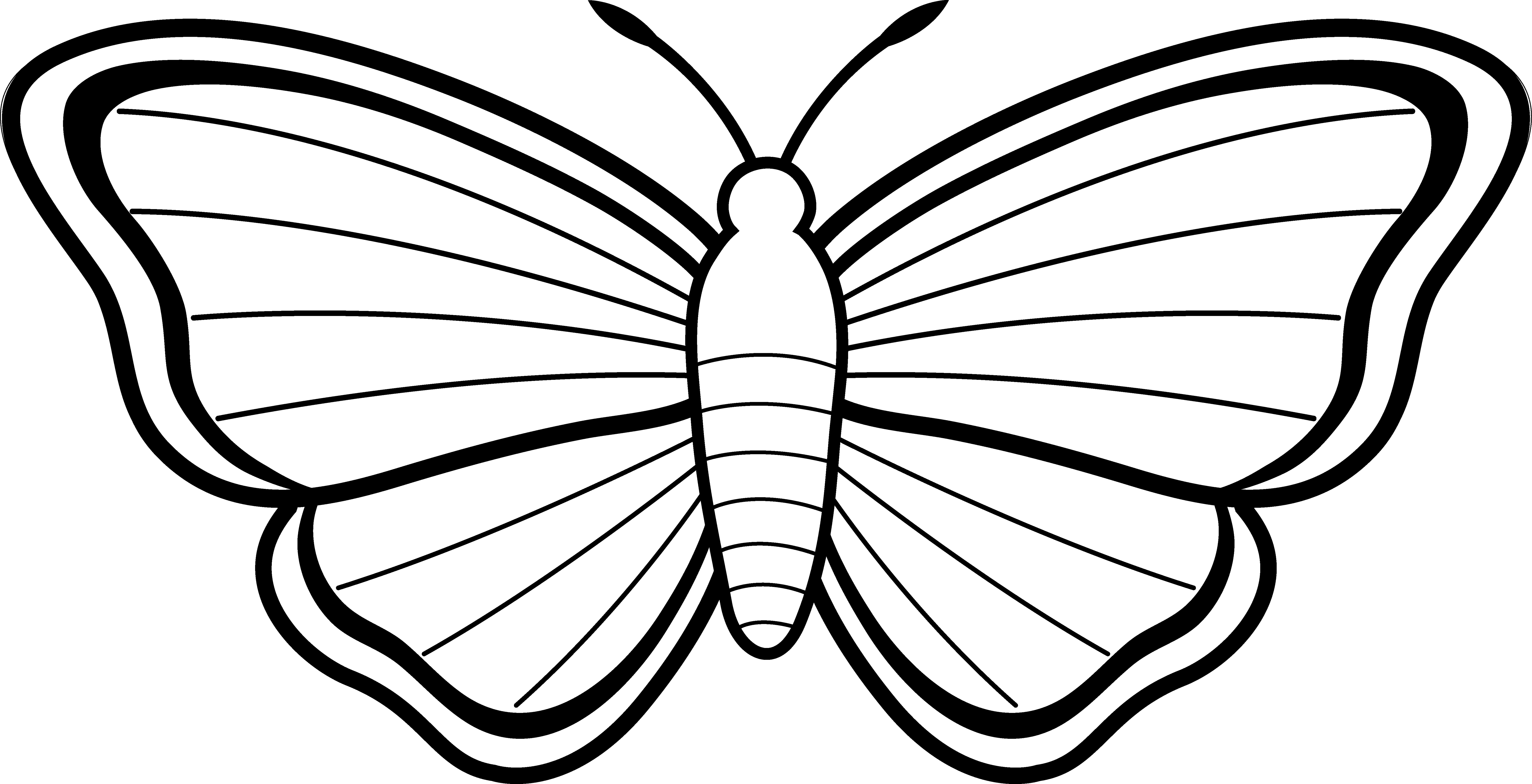 Drawing at getdrawings com. Ruler clipart monarch
