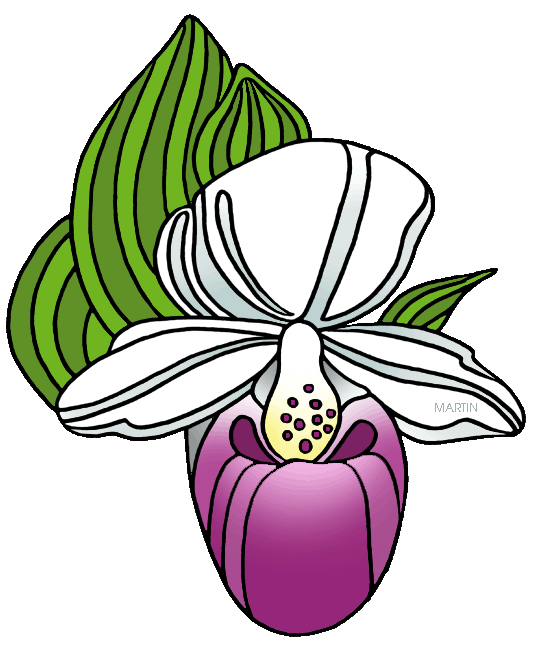lady clipart flower