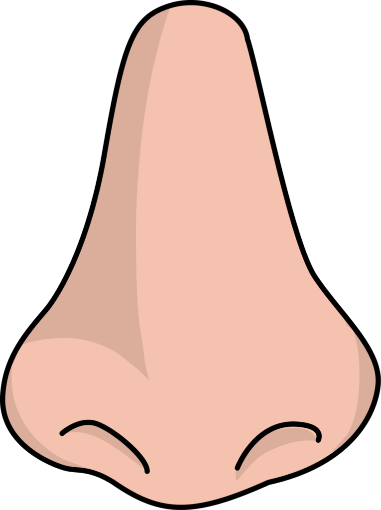 lady clipart nose