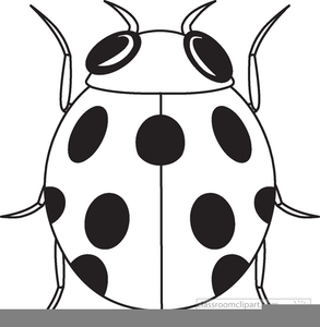 Free images at clker. Ladybug clipart black and white