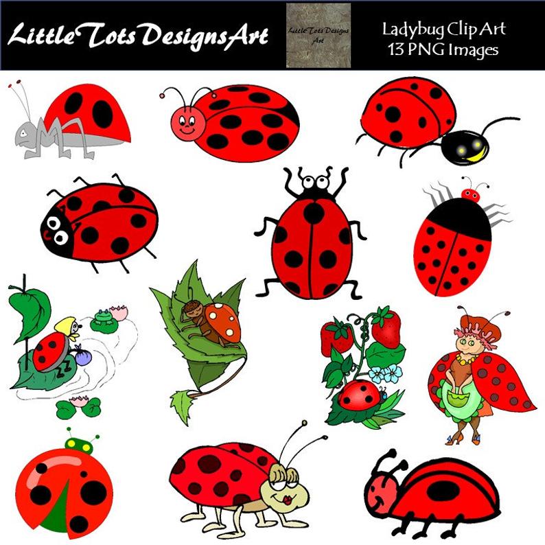 ladybugs clipart gambar