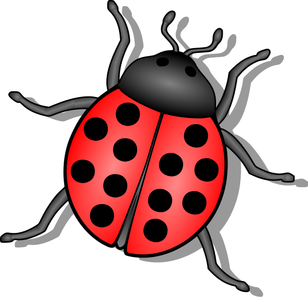 ladybug clipart red animal