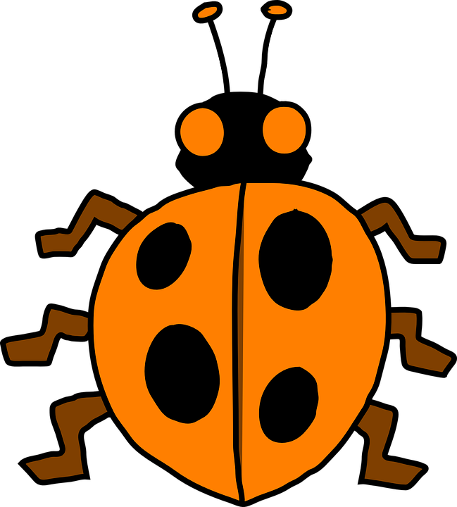 ladybug clipart school