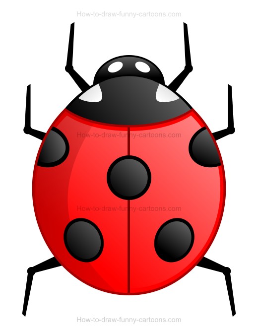 ladybug clipart simple shape
