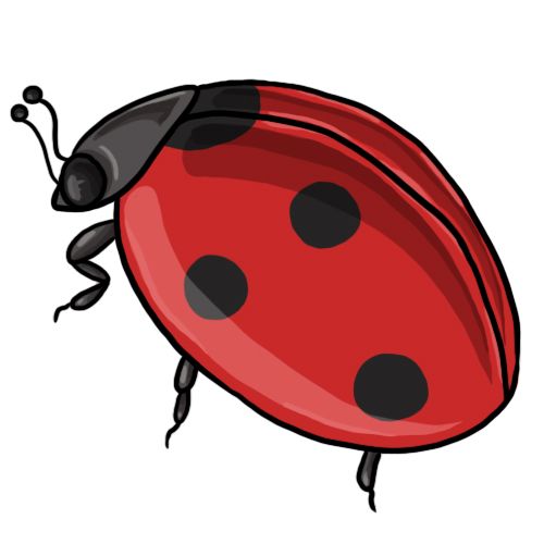 ladybug clipart spot