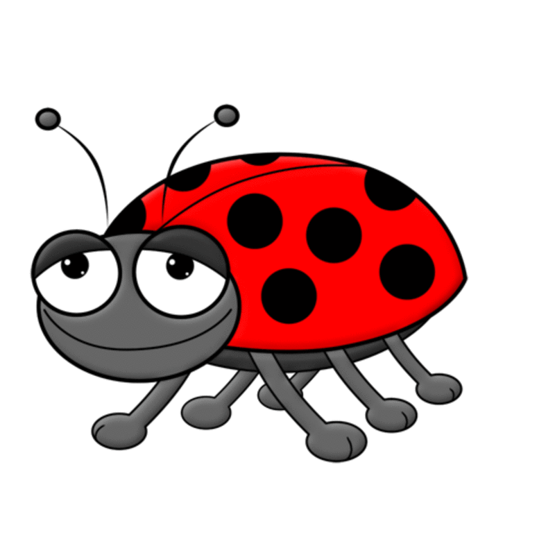 Ladybugs spotless