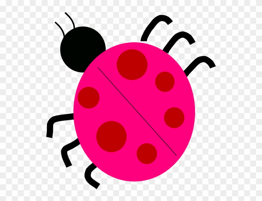 ladybug clipart spotless