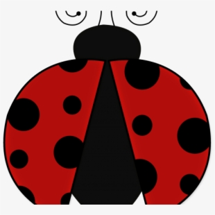 ladybug clipart symmetrical
