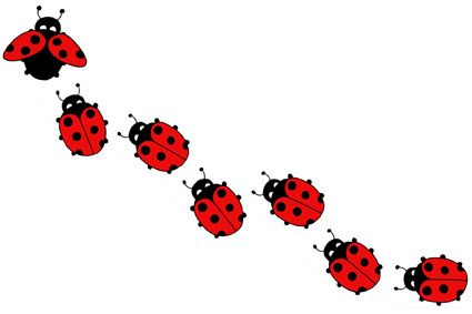 ladybug clipart trail