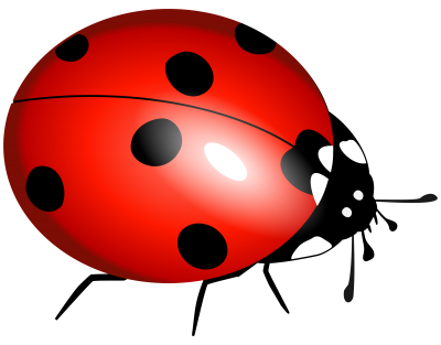 Download free png image. Ladybug clipart transparent background