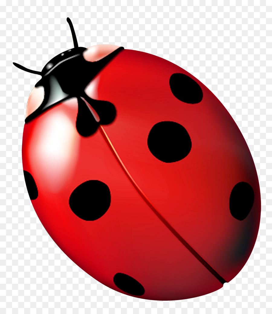 ladybugs clipart bettle